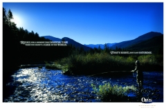 ORVIS-02